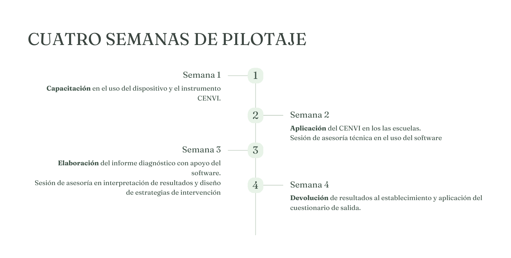 Cronología del pilotaje: capacitación, aplicación, elaboración del informe y devolución de resultados