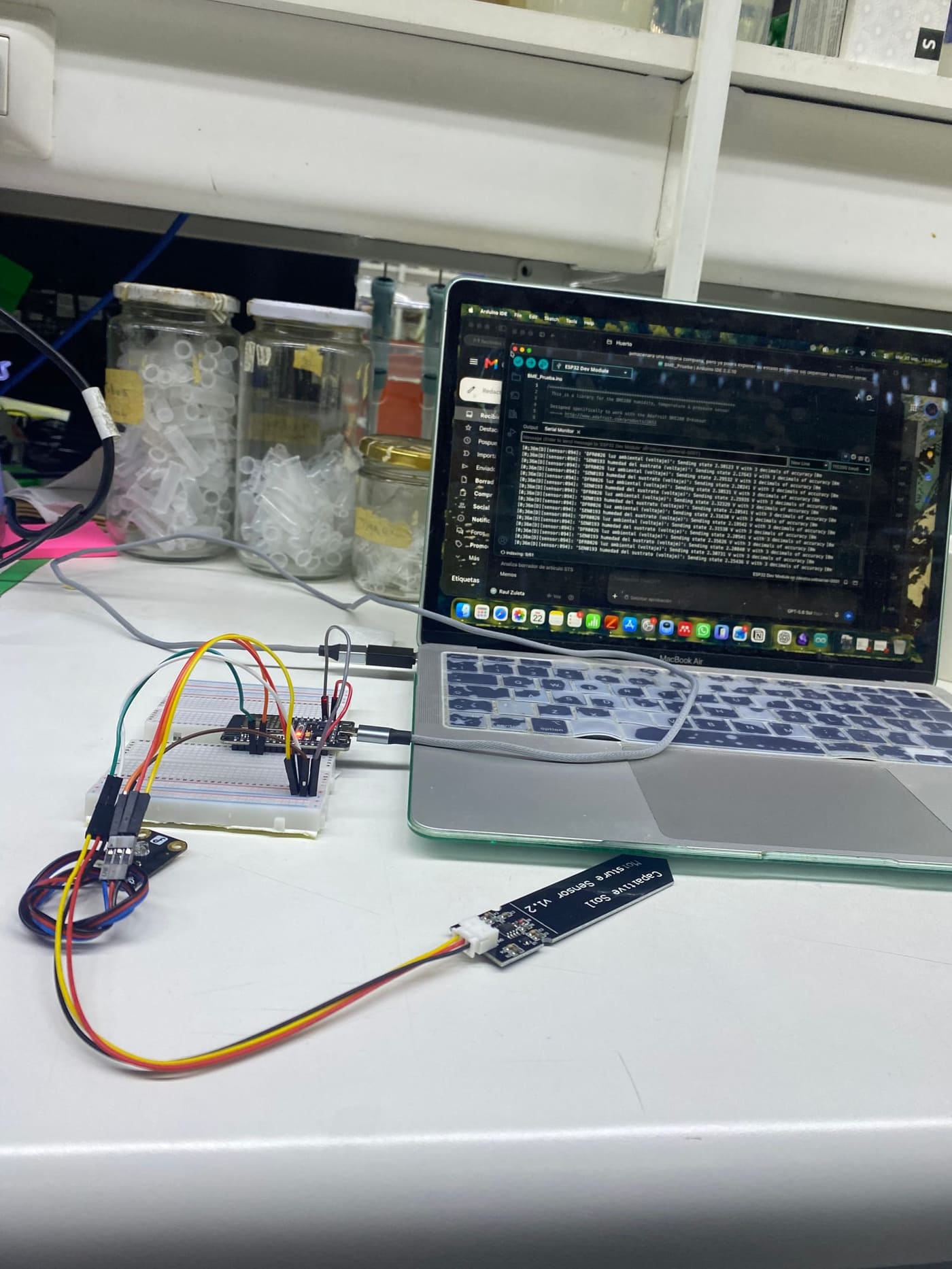Nodo vegetal conectado a un computador durante una prueba de programación, con una sonda de sustrato en primer plano.