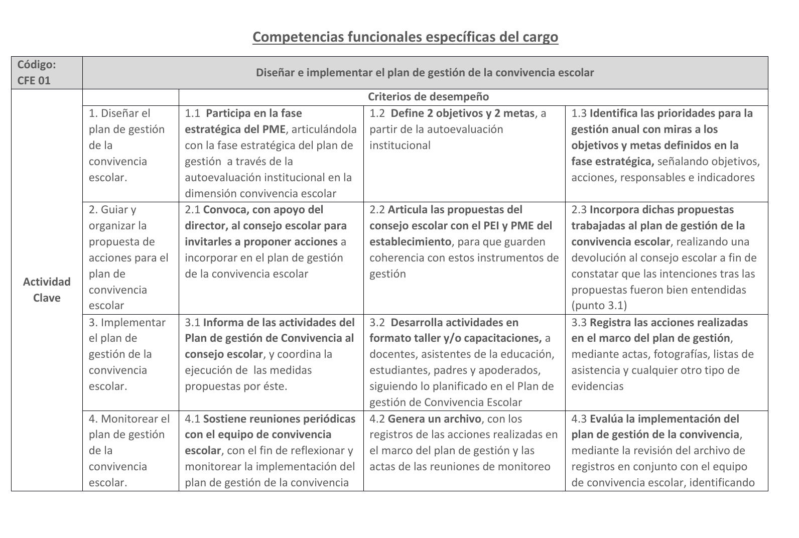 Matriz de competencias funcionales que relaciona actividades clave del cargo con criterios de desempeño observables.