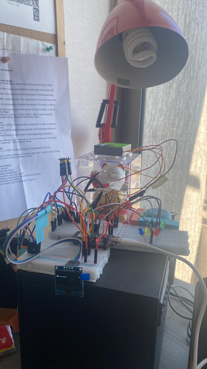 Nodo experimental montado en protoboards junto a una ventana, con sensores, cables, luces y pantalla OLED.